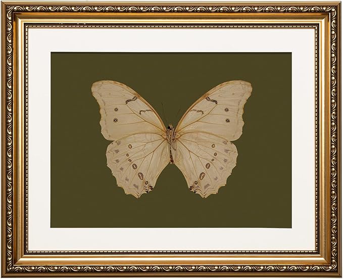 ARPEOTCY Vintage Gold Framed Wall Art, 13x16 inch Classical White Butterfly Paintings, Dark Moody Green Canvas Prints Artwork with Antique Picture Frame, Victorian Wall Decor for Gallery Living Room