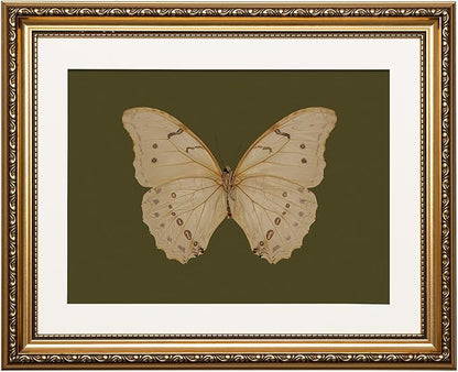 ARPEOTCY Vintage Gold Framed Wall Art, 13x16 inch Classical White Butterfly Paintings, Dark Moody Green Canvas Prints Artwork with Antique Picture Frame, Victorian Wall Decor for Gallery Living Room