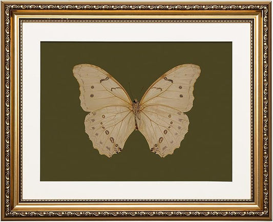 ARPEOTCY Vintage Gold Framed Wall Art, 13x16 inch Classical White Butterfly Paintings, Dark Moody Green Canvas Prints Artwork with Antique Picture Frame, Victorian Wall Decor for Gallery Living Room