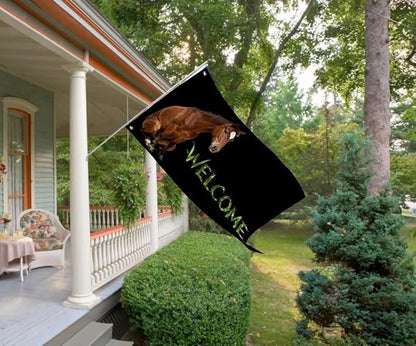 Horse Welcome Flag 3X5FT, Farm House Flags, Horse Meme Banner,Both Sides Printed, Men Women Banner,Vibrant Colors, Double Stitched with 2 Brass Grommets, Bar Garden Street Decoration, GYM, Office Decor,Indoor Outdoor Use,Gifts. (Horse, 3x5ft)