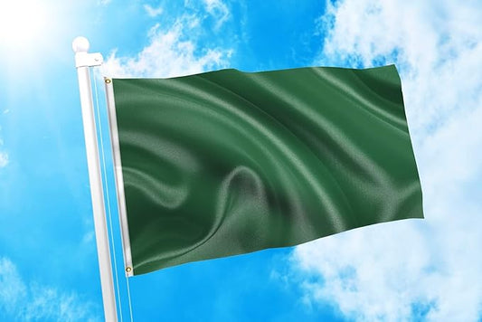 DMSE Solid Dark Green Flag, 3x5 Flag, UV Resistant, Fade Resistant Material with Metal Grommets (3ft x 5ft), (Polyester), (Dark Green)