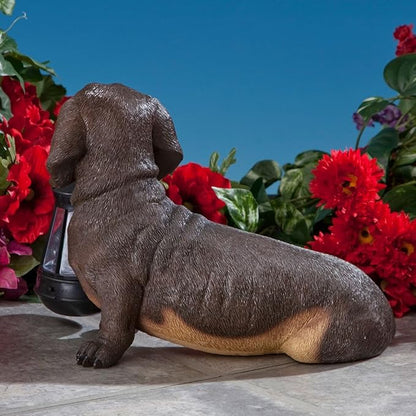 Bits and Pieces - Dog Solar Lantern Statue - Solar Powered Garden Lantern - Resin Dog Sculpture with LED Light - Outdoor Lighting and Décor (Dachshund)