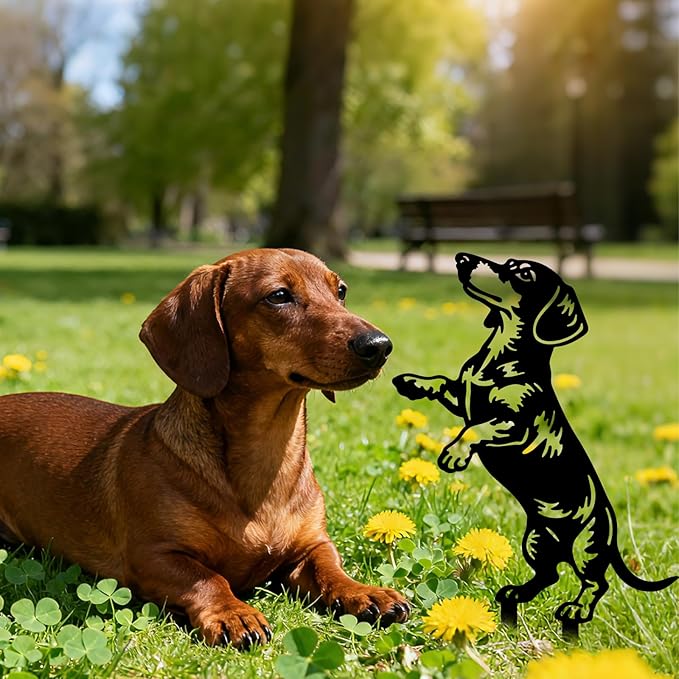 GLOBLELAND 2 Pcs Dachshund Garden Stakes for Yard Decor Dog Silhouette Metal Stakes Funny Animals Statues Lawn Signs for Dog Lovers Outdoor Party Patio Landscape Decor