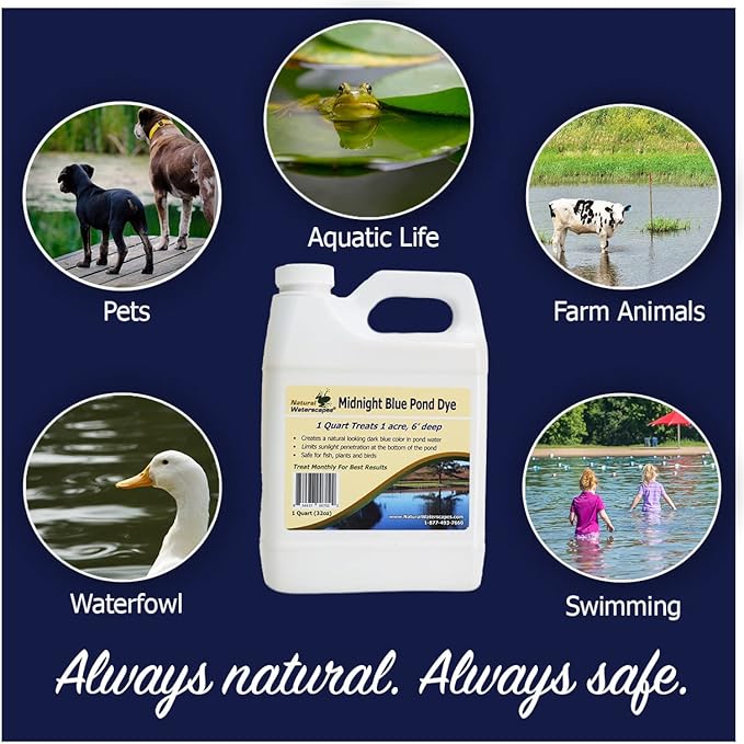 Natural Waterscapes Pond Dye - Reflective Black Super Concentrate - 1 Quart Treats 1 Acre up to 6 Feet Deep, Black Pond Dye Creates a Dark Mirrored Reflection of Surroundings (1)