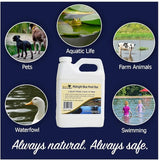 Natural Waterscapes Pond Dye - Reflective Black Super Concentrate - 1 Quart Treats 1 Acre up to 6 Feet Deep, Black Pond Dye Creates a Dark Mirrored Reflection of Surroundings (1)