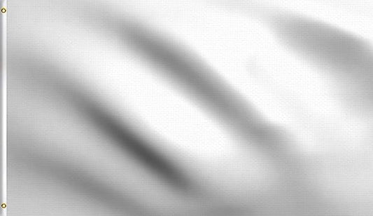DMSE Solid White Flag, 2x3 Flag, UV Resistant, Fade Resistant Material with Metal Grommets (2ft x 3ft), (Polyester), (White)