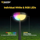 Ensenior 8 Pack Solar Pathway Lights, Multicolor & Warm White LED, IP65 Waterproof, Garden Back Yard Solar Lights Outdoor Decorative
