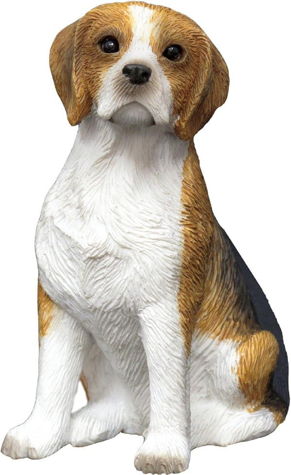 Sandicast Small Size Beagle Sculpture, Sitting (SS00902)
