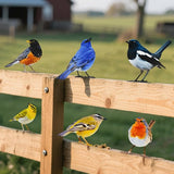 6 pcs Vivid Birds Decoration Metal Birds Fence Decorations Double-Sided Printed Birds Yard Decor Outdoor Bird Wall Decor Suitable for Bird 2D Sculptures Garden and Rustic Garden Decor