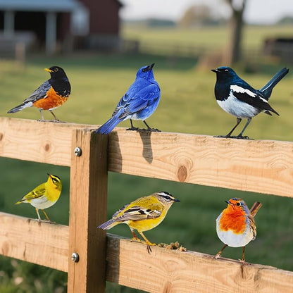 6 pcs Vivid Birds Decoration Metal Birds Fence Decorations Double-Sided Printed Birds Yard Decor Outdoor Bird Wall Decor Suitable for Bird 2D Sculptures Garden and Rustic Garden Decor