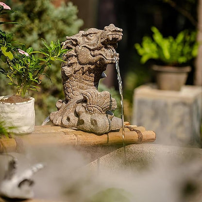 Animal Pond Spitters, Animal Pond Fountains, Spitters for Small Ponds, Funny Garden Statues, Dragon-Shaped Ponds Ornaments, for Balcony, Courtyard and Home