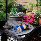 MINICAR Gnome Statue, Funny Outdoor Garden Yard Lawn Sculpture Decoration Home Decor Naughty Gifts, 6 Inch Length