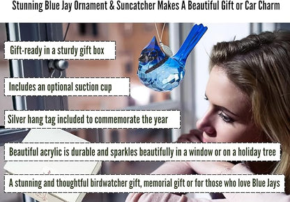 Birdwatcher Gift, Stunning Blue Jay Sparkling Suncatcher, Acrylic Ornament - A Perfect Bird Gift with 2026 Charm & Suction Cup - Stunning Acrylic Bird Suncatcher, Blue Jay Car Charm