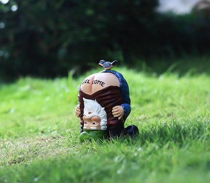 Garden Gnome Statue, Garden Decor,Gnomes Decorations for Yard, Funny Bird Welcome Figurines for Outdoor Patio, Lawn, Yard Art Decoration