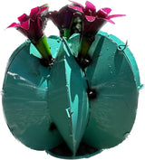 Handmade Metal Bisnaga Cactus with Flowers - Garden Art Decor (Turquoise)