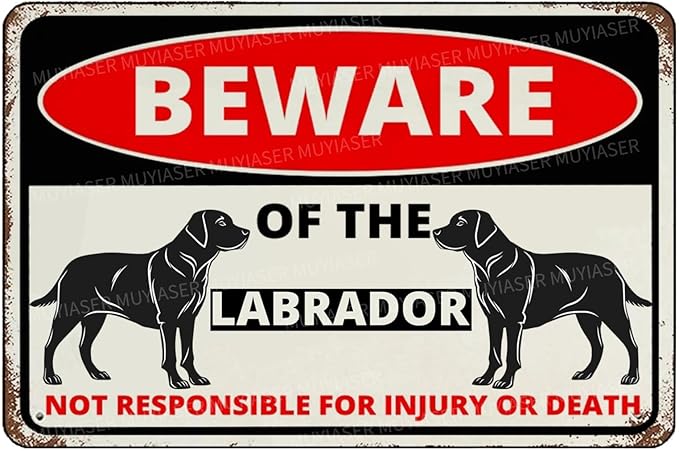 Beware Of The Dog Labrador Sign Aluminum Metal Tin Signs Outdoor Yard Sign Warning Sign For Fence Yard Home Kitchen Farm Garden Wall Decor 8x12 Inch