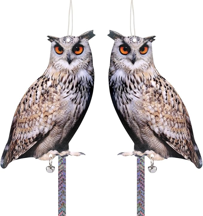 Hanging Flat Fake Owl to Keep Pigeon Away from Balcony 2PCS Garden Owls with Reflective Tape Plastic Owl to Scare Woodpecker Squirrel for Tree Outdoor House Patio Porch Front Porch Decor