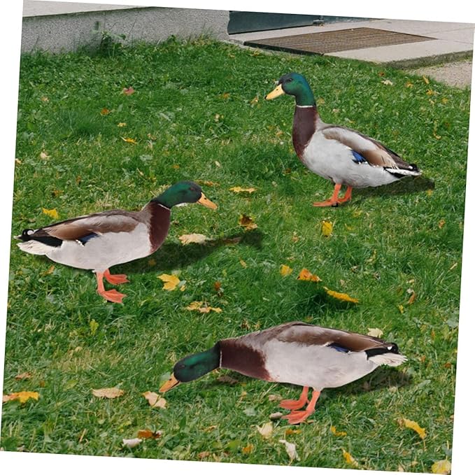 YARNOW 3pcs Acrylic Garden Stake Decor Charming Outdoor Lawn Insert Dusk Pattern for Vibrant Garden Art and Landscape Design