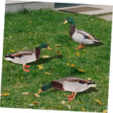 YARNOW 3pcs Acrylic Garden Stake Decor Charming Outdoor Lawn Insert Dusk Pattern for Vibrant Garden Art and Landscape Design