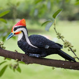Simulated woodpecker sculpture outdoor resin bird statue, hanging tropical bird, Black-bellied Woodpecker sculpture perfect courtyard decoration, outdoor, courtyard, tree trunk,Large size: 11 inches