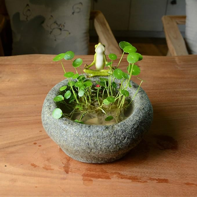 Top Collection Garden Frog Meditating On Large Functional Stone Flower Pot Planter Figurine