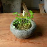 Top Collection Garden Frog Meditating On Large Functional Stone Flower Pot Planter Figurine