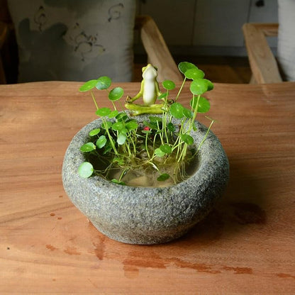 Top Collection Garden Frog Meditating On Large Functional Stone Flower Pot Planter Figurine