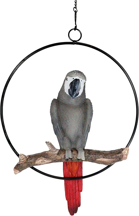 Ebros Patio Home Garden Hanging Macaw Parrot Perching on Branch in Metal Round Ring Figurine Sculpture Nature Lovers Tropical Bird Collectors Decor 13.5" H (Grey Macaw)