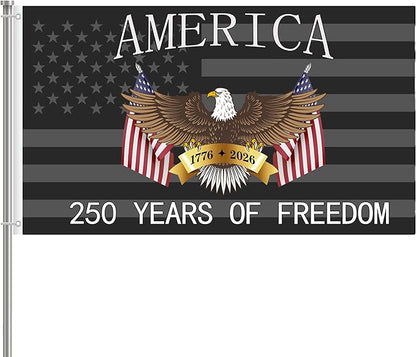 250 Anniversary USA Flag 3x5 Ft 2 Sided 3 Layers 250th Anniversary Flag We The People 1776-2026 250 Years Birthday Patriotic Decor for Outdoor Front Door Porch Wall (E)