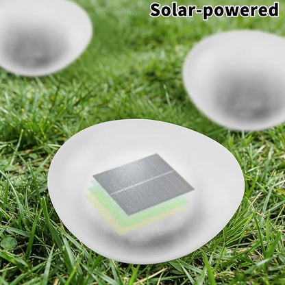 Solar Powered Outdoor Lights - Waterproof Garden Path Lighting, Pebble Shape Landscape Lights for Yard, Lawn, Patio, Walkway, White Light(1 pc)