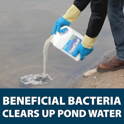 Airmax PondClear Liquid Bacteria for Lakes, Ponds & Water Garden Treatments, Natural Bio Clarifier & Cleaner for Crystal Clear Water, Remove Nutrients & Noxious Odor, Fish, Pet & Plant Safe, 1 Gallon