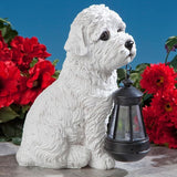 Bits and Pieces - Dog Solar Lantern Statue - Solar Powered Garden Lantern - Resin Dog Sculpture with LED Light - Outdoor Lighting and Décor (Bichon)