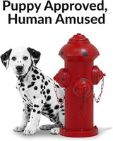 Sunnydaze Fire Hydrant for Dogs to Pee On - Dog Fire Hydrant Pee Post for Potty Training - Red Powder-Coated Paint Finish - 21" H