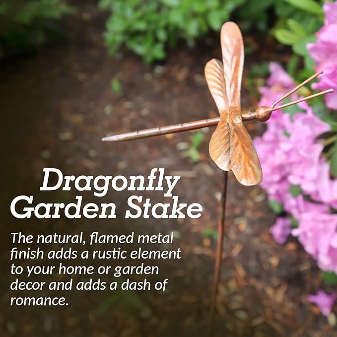 Ancient Graffiti Flamed Copper Dragonfly Garden Ornament