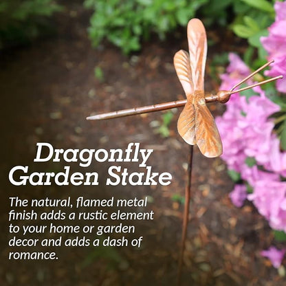 Ancient Graffiti Flamed Copper Dragonfly Garden Ornament