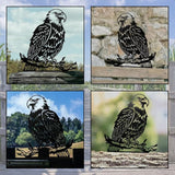 WADORN Eagle Metal Garden Yard Art Decor, Bird on Branch Iron Decorative Garden Stakes Wild Animal Black Silhouette Outdoor Fence Decor for Tree Wall Ornaments Yard Art Outdoor Decor Garden Decor