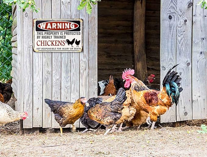 Funny Chicken Coop Sign - "Warning: Property Protected by Chickens" Decorative Metal Sign for Farm, Home, or Garden 12" * 8" (219)
