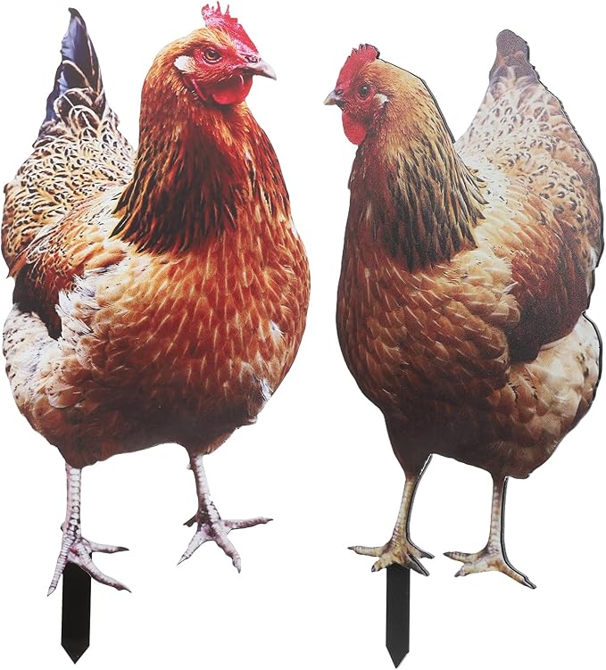 Happyyami 2Pcs Acrylic Chicken Yard Art - Decorative Hen Lawn Stakes for Garden Decoration, Outdoor Decor for Patio and Yard, Acrylic Flat Surface