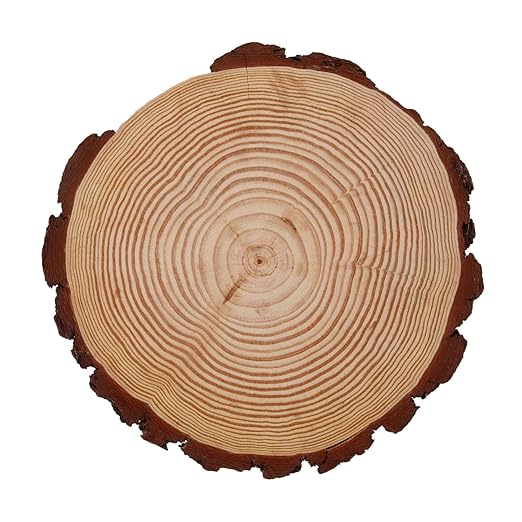Outdoor Garden Wooden Stepping Log Paver for Pathway and Walkway Decoration Durable and Elegant Garden for Landscape Edging