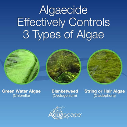 Aquascape Algaecide for Pond, Waterfall, and Water Features, 2.5-Gallon, 96053