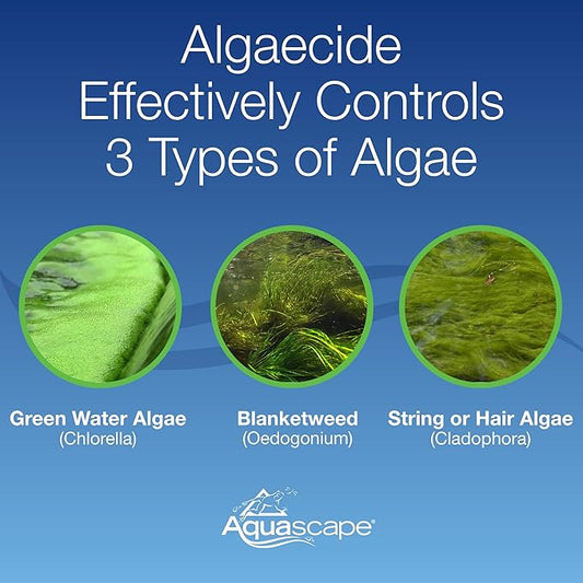 Aquascape Algaecide for Pond, Waterfall, and Water Features, 32-Ounce, 96024