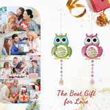 Garden Suncatcher, 2 Pack Hanging Owl Suncatchers with Rainbow Maker Crystal, Hand-Painted Metal Sun Catchers Indoor Window for Garden, Patio, Balcony, Indoor Window
