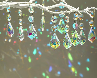 KANPURA 25pcs 38mm Suncatcher with Crystals Horse Eyes Chandelier Prism Replacement Pendant,Hanging Crystals Glass Octagon Beads for Window Christmas Tree Home Decor(AB)