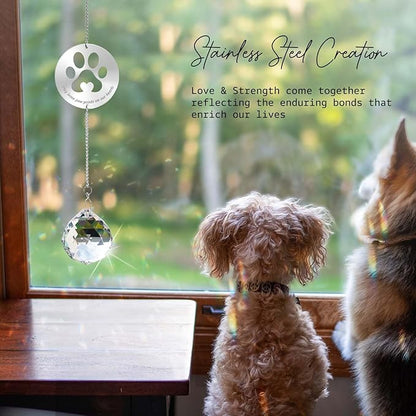Mooncraftlogy Dog Memorial Gifts, Unique Loss of Pet Sympathy Idea, Clear Crystal Ball Rainbow Suncatcher with Paw Print for Cat or Dog Remembrance and Bereavement