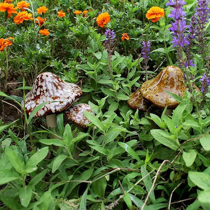 Ceramic Mushroom Outdoor Decor-2pcs Mushroom Statue Decor for Garden, Lawn, Fairy Garden Stakes 8.27'' in Height