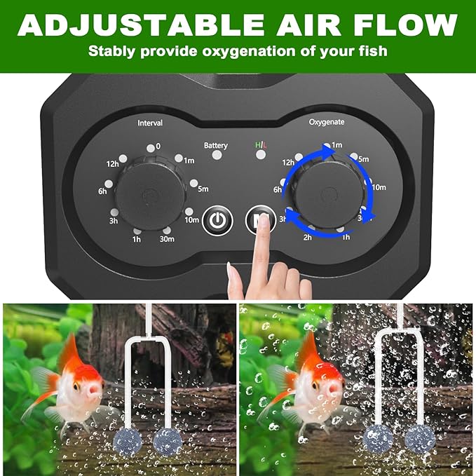 Lewisia 6W Solar Pond Aerator with Timer Control Air Pump Battery Aeration Kit Fish Tank Bubble Oxygenator