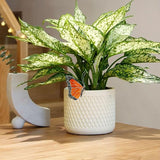 Stained Butterfly Plant Sun Catcher for Gardens, Or Patios Plant Gifts (Orange)