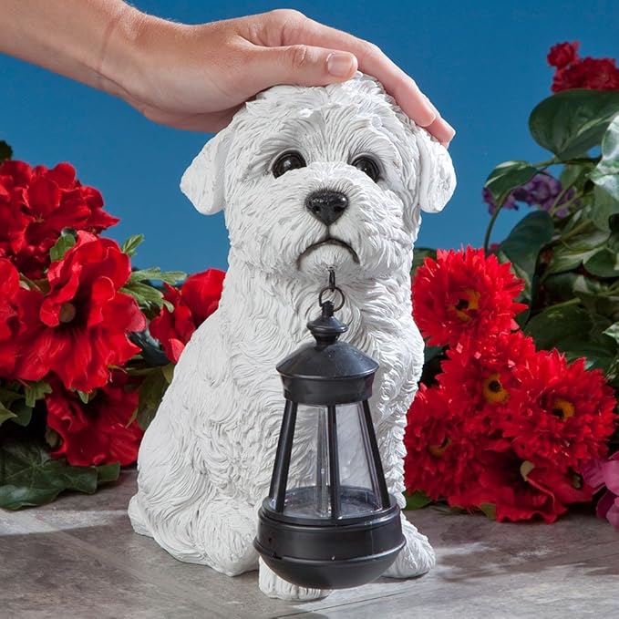 Bits and Pieces - Dog Solar Lantern Statue - Solar Powered Garden Lantern - Resin Dog Sculpture with LED Light - Outdoor Lighting and Décor (Bichon)