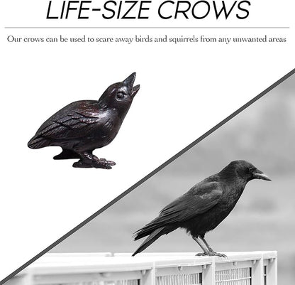 NACH Cast Iron Baby Crow Statue, Raven Garden Statues, Crow Garden Sculpture, Bird Figurines Home Decor, Crow Decor, Raven Decor, Black Bird Statue, 5.4 x 2.2 x 3.2 inches, Set of 2, JS-90-7116