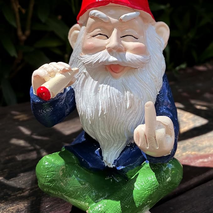Funny Garden Gnome Statue - Mini Figurine Ornament for Outdoor Fairy Garden & Indoor Decor, Resin Craft Gift (Santa Claus)